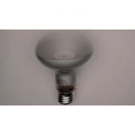 10x 100W R80 Reflektor Weißglühend Spot Glühlampen E27 Edison Schraube Heizlampe 