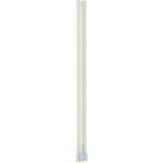 MASTER PL-L Polar 4P - Compact fluorescent lamp without integrated ballast - Lam MASTER PL-L Polar 55W/840/4P 1CT/25