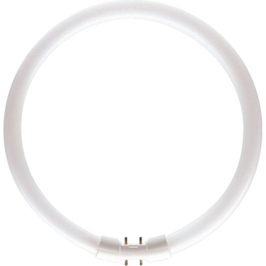 MASTER TL5 Circular - Fluorescent lamp - Lampenleistung EM 25°C,nominal: 22 W -  MASTER TL5 Circular 22W/830 1CT/10
