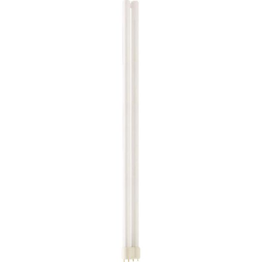 MASTER PL-L 4P - Compact fluorescent lamp without integrated ballast - Lampenlei MASTER PL-L 80W/830/4P 1CT/25